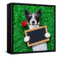 Valentines Dog-Javier Brosch-Framed Stretched Canvas