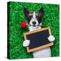 Valentines Dog-Javier Brosch-Stretched Canvas