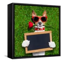 Valentines Dog-Javier Brosch-Framed Stretched Canvas