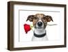 Valentines Dog-Javier Brosch-Framed Photographic Print