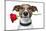 Valentines Dog-Javier Brosch-Mounted Photographic Print