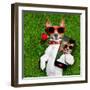 Valentines Dog-Javier Brosch-Framed Photographic Print