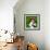 Valentines Dog-Javier Brosch-Framed Photographic Print displayed on a wall