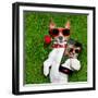 Valentines Dog-Javier Brosch-Framed Photographic Print