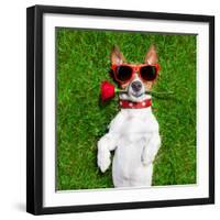 Valentines Dog-Javier Brosch-Framed Photographic Print