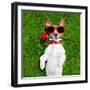 Valentines Dog-Javier Brosch-Framed Photographic Print