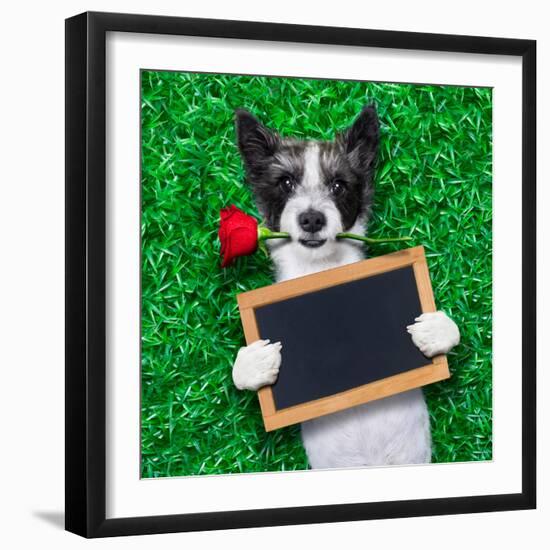 Valentines Dog-Javier Brosch-Framed Photographic Print