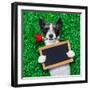 Valentines Dog-Javier Brosch-Framed Photographic Print