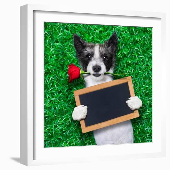 Valentines Dog-Javier Brosch-Framed Photographic Print