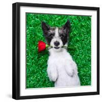 Valentines Dog-Javier Brosch-Framed Photographic Print