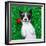 Valentines Dog-Javier Brosch-Framed Photographic Print