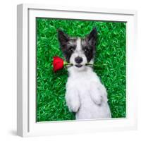 Valentines Dog-Javier Brosch-Framed Photographic Print