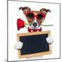 Valentines Dog-Javier Brosch-Mounted Photographic Print