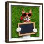 Valentines Dog-Javier Brosch-Framed Photographic Print