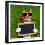 Valentines Dog-Javier Brosch-Framed Photographic Print