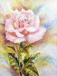 Beautiful Rose, Oil Painting on Canvas-Valenty-Art Print