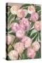 Valenty painterly peonies-Rosana Laiz Garcia-Stretched Canvas