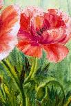 Poppies, Oil Painting on Canvas-Valenty-Framed Art Print