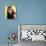 Valerie Bertinelli-null-Stretched Canvas displayed on a wall