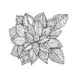 Botanical 23-Valerie McKeehan-Coloring Poster