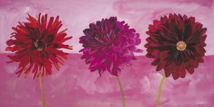 Dahlias Vermillon, Fischia, Carmin-Valerie Roy-Art Print