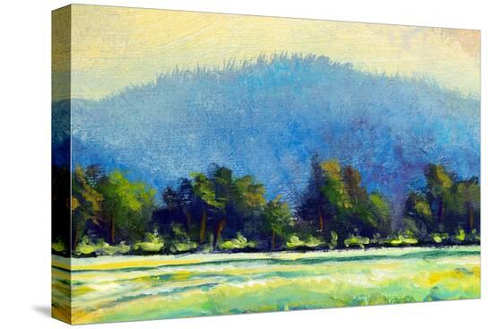 Stretched Canvas Print, , large