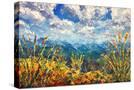Stretched Canvas