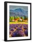 Black Frame