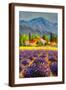 Brown Frame