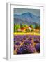 White Frame