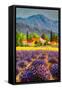 Canvas Black