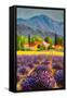 Canvas Black