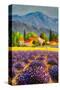 Stretched Canvas