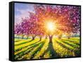 Canvas Black
