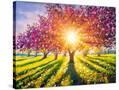 Stretched Canvas
