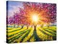 Stretched Canvas