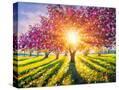 Stretched Canvas