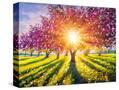 Stretched Canvas