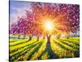 Stretched Canvas