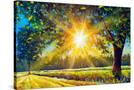 Stretched Canvas