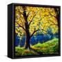 Canvas Black