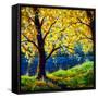 Canvas Black