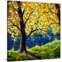 Stretched Canvas
