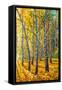 Canvas Black