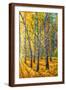 Brown Frame