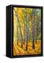 Canvas Black