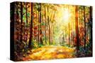 Stretched Canvas