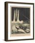 Valier Rocket Launch from Water-null-Framed Art Print