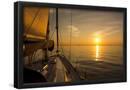 Essential Black