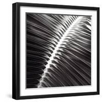 Valladolid Noir - Focus-Ben Wood-Framed Art Print